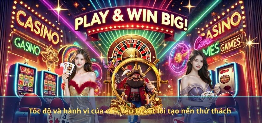 Yếu tố môi trường và bản đồ – Thử thách từ không gian chơi